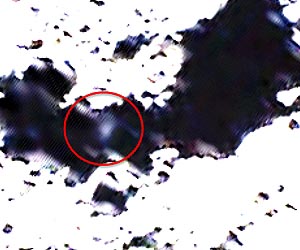 Waiter, There's Metal In My Moon Water
