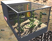 lunar-greenhouse-bg