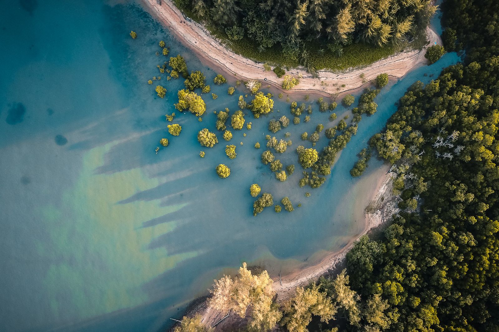 How did a low-lying delta nation that lost roughly 138,000 people to a single 1970 cyclone reduce coastal storm deaths by more than 99 percent using trees and c