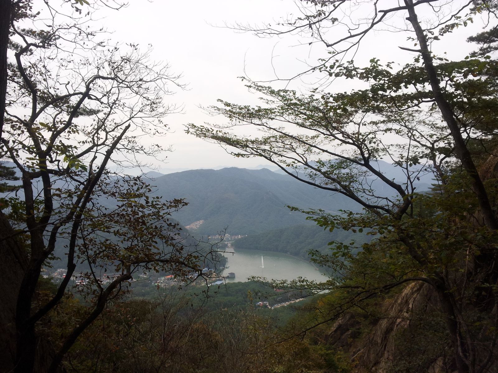 How did an East Asian peninsula that emerged from war in 1953 with barely 35 percent of its hills still wooded rebuild itself into a country now roughly two-thi