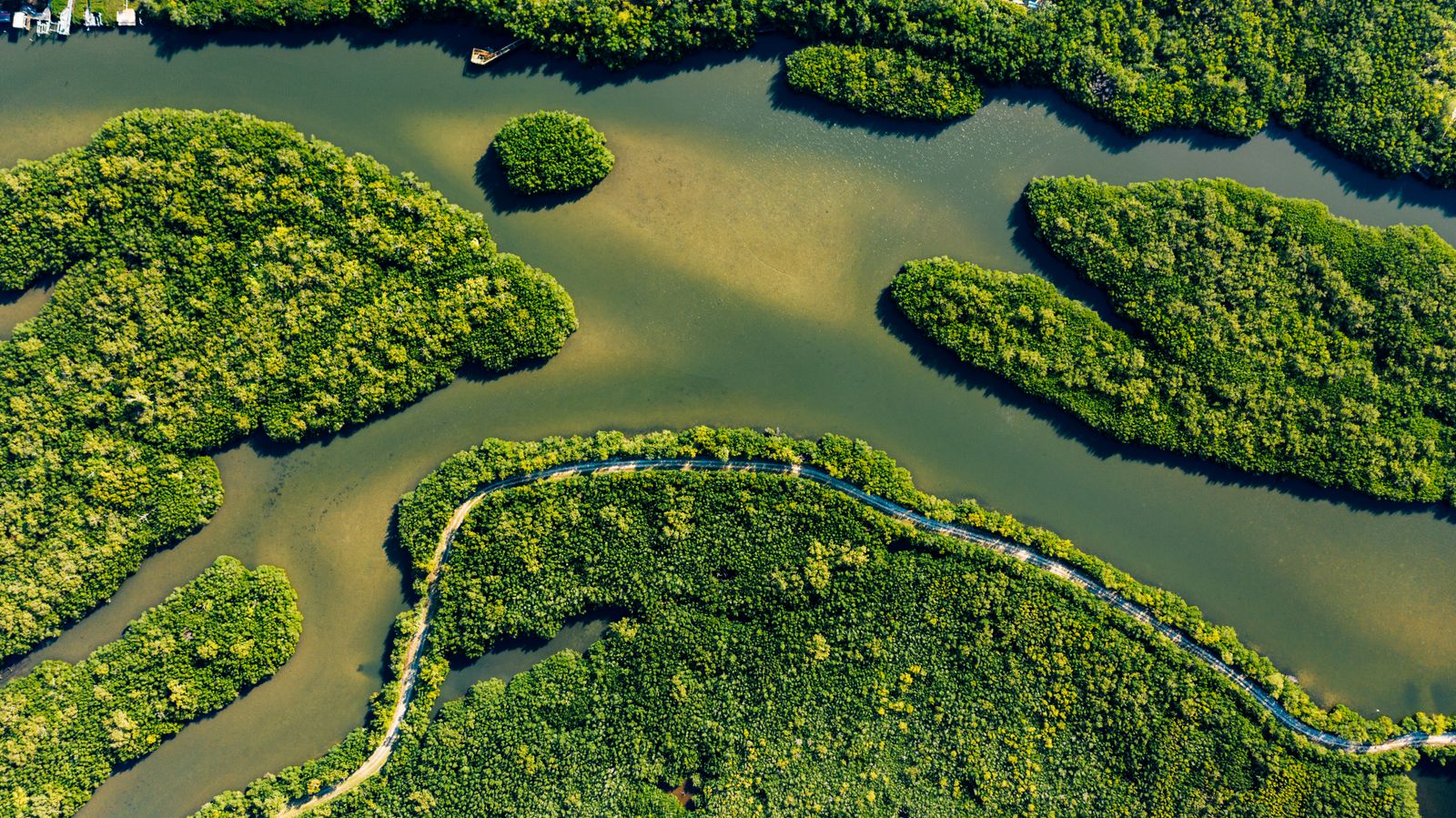 Sundarbans mangrove forest aerial