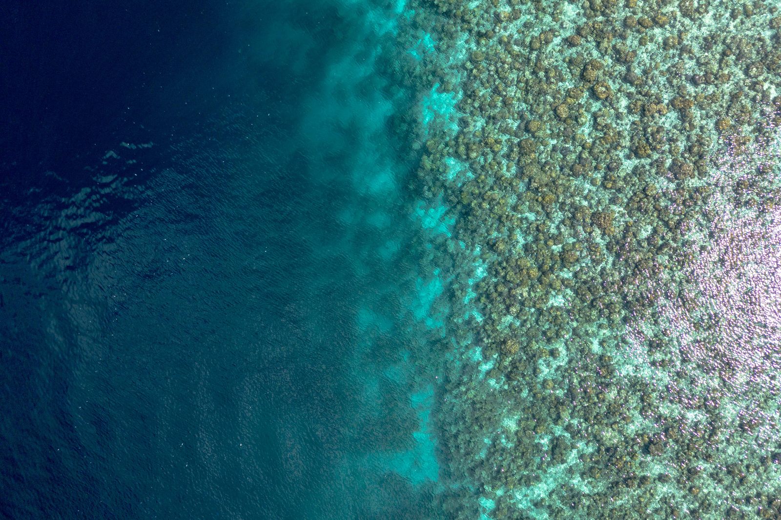 great barrier reef aerial