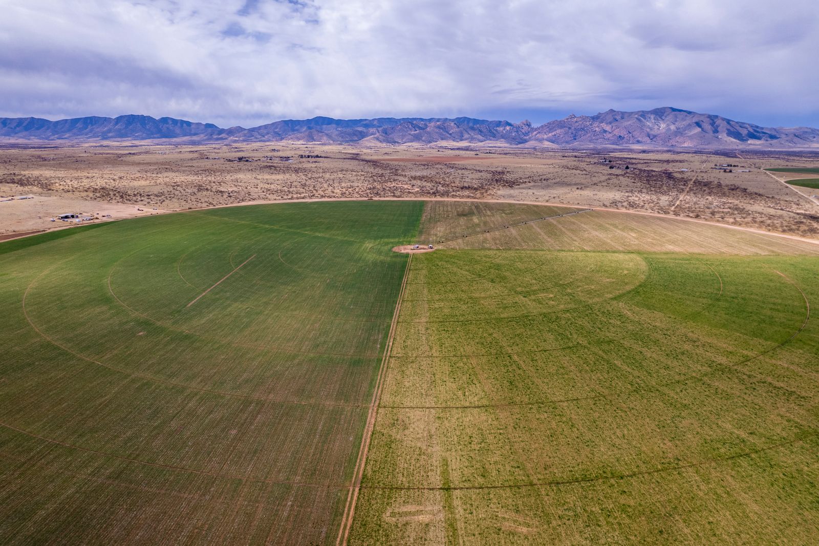 Negev desert farm