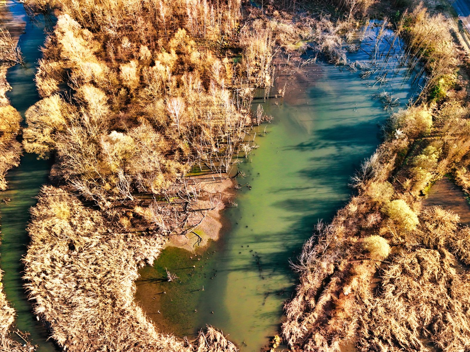 peatland canal dam restoration