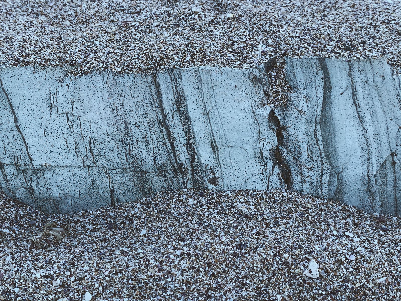 ocean sediment core