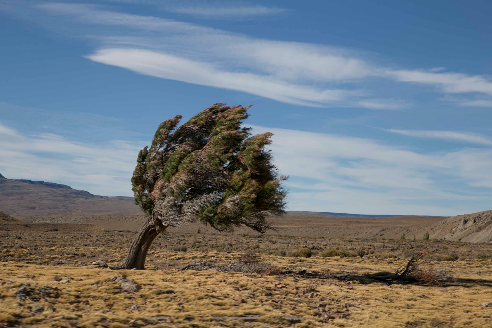 Patagonia wind landscape